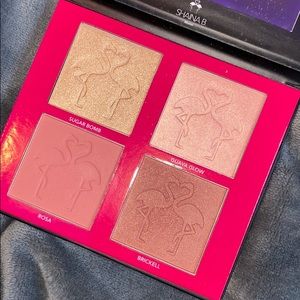 Shaina B Miami Blush Palette